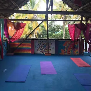 Mk Gardens Surf & Yoga House Varkala
